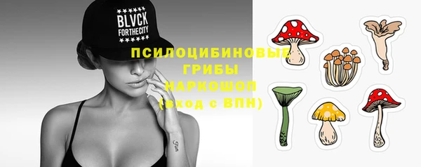 крисы Армянск