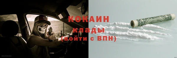 крисы Армянск
