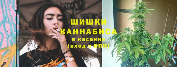 крисы Армянск