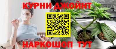 мяу мяу мука Гатчина