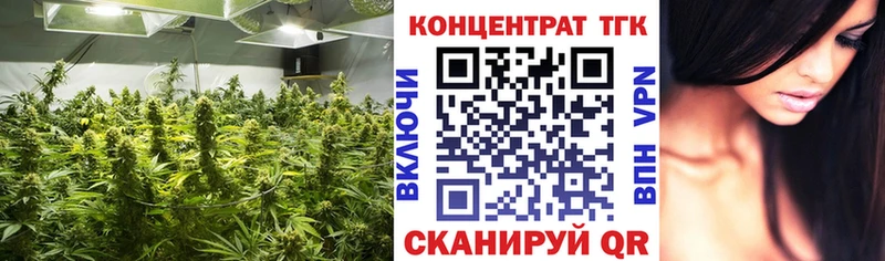где можно купить наркотик  Волгодонск  MEGA tor  ТГК концентрат 