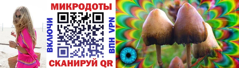 Псилоцибиновые грибы Magic Shrooms  Волгодонск 