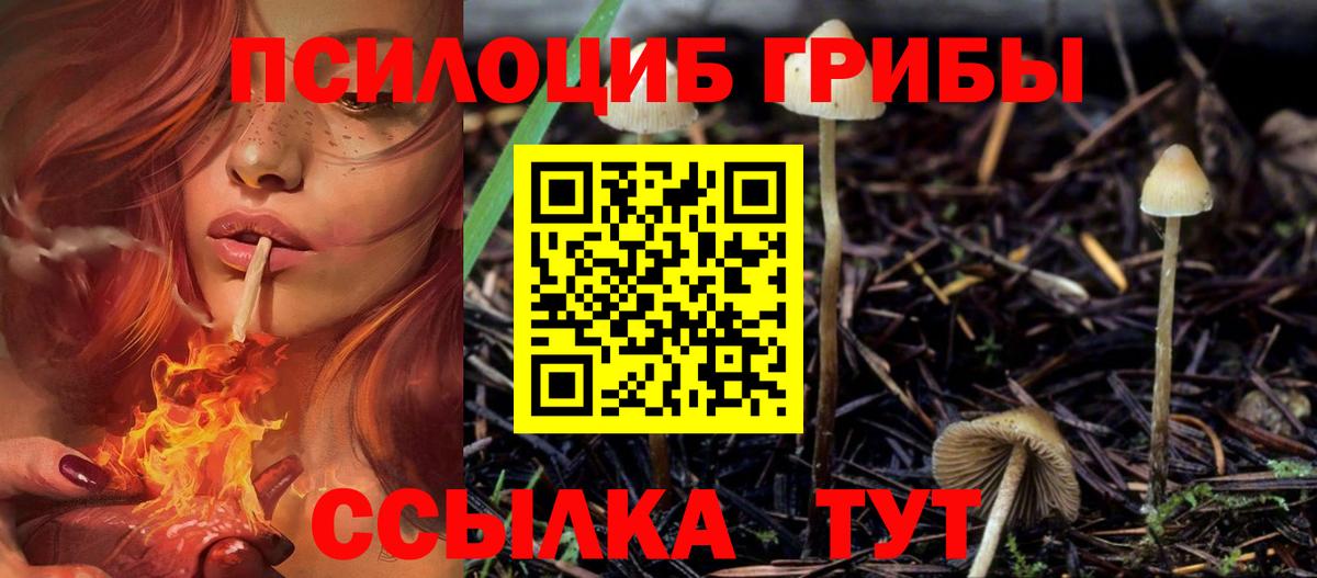 Псилоцибиновые грибы мухоморы Волгодонск
